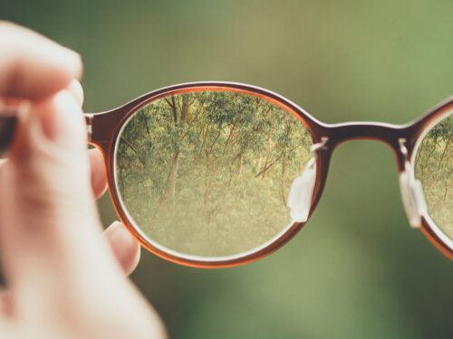 Die Umgebung ist verschwimmen. Erst durch die Brille kann man den Wald gut erkennen.