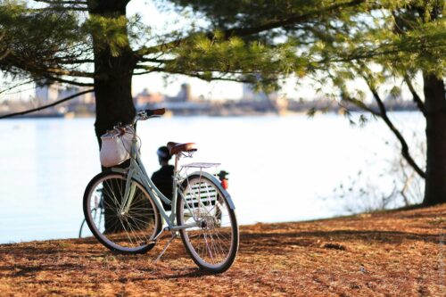 Ein Fahrrad steht an einem Baum vor eine m See